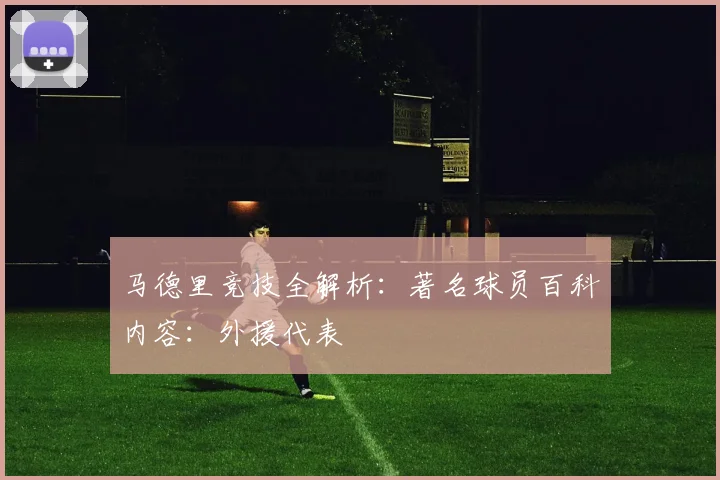 马德里竞技全解析：著名球员百科内容：外援代表