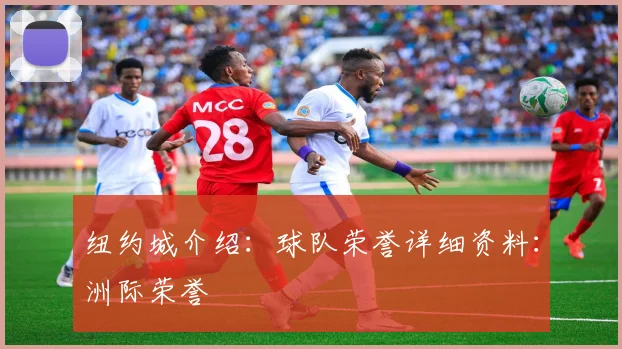 纽约城介绍：球队荣誉详细资料：洲际荣誉