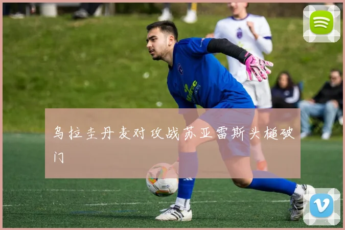 乌拉圭丹麦对攻战苏亚雷斯头槌破门