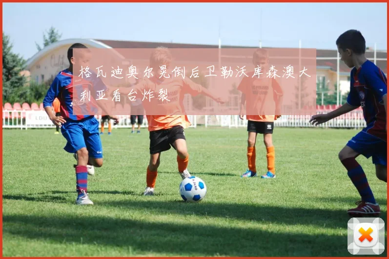 格瓦迪奥尔晃倒后卫勒沃库森澳大利亚看台炸裂